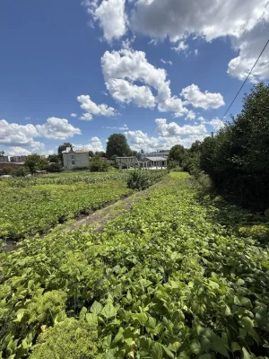 Продаж ділянки неподалік від центру міста