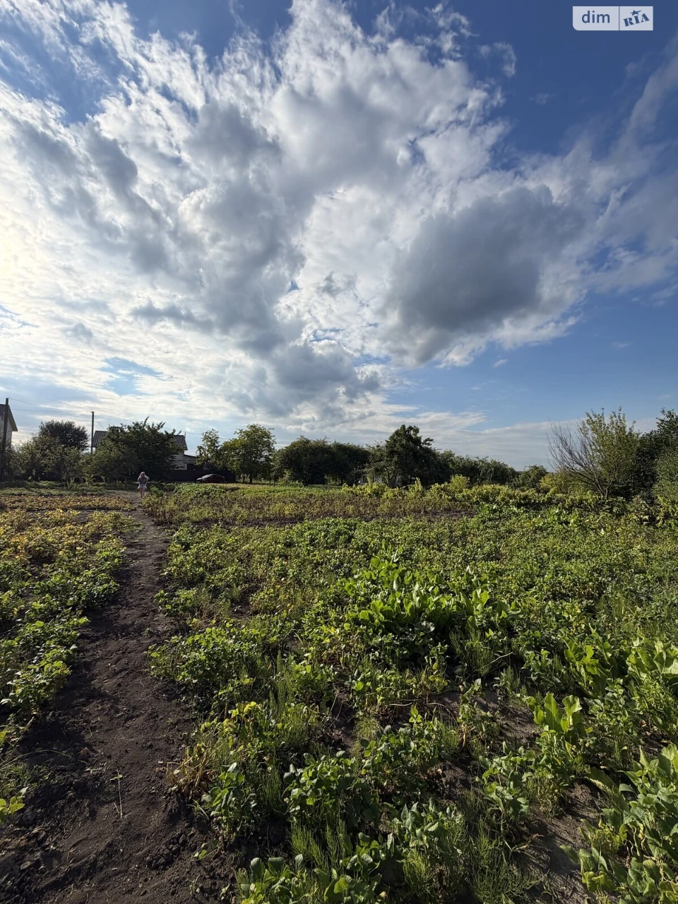 Продаж Ділянка під житлову забудову Південне Дубове