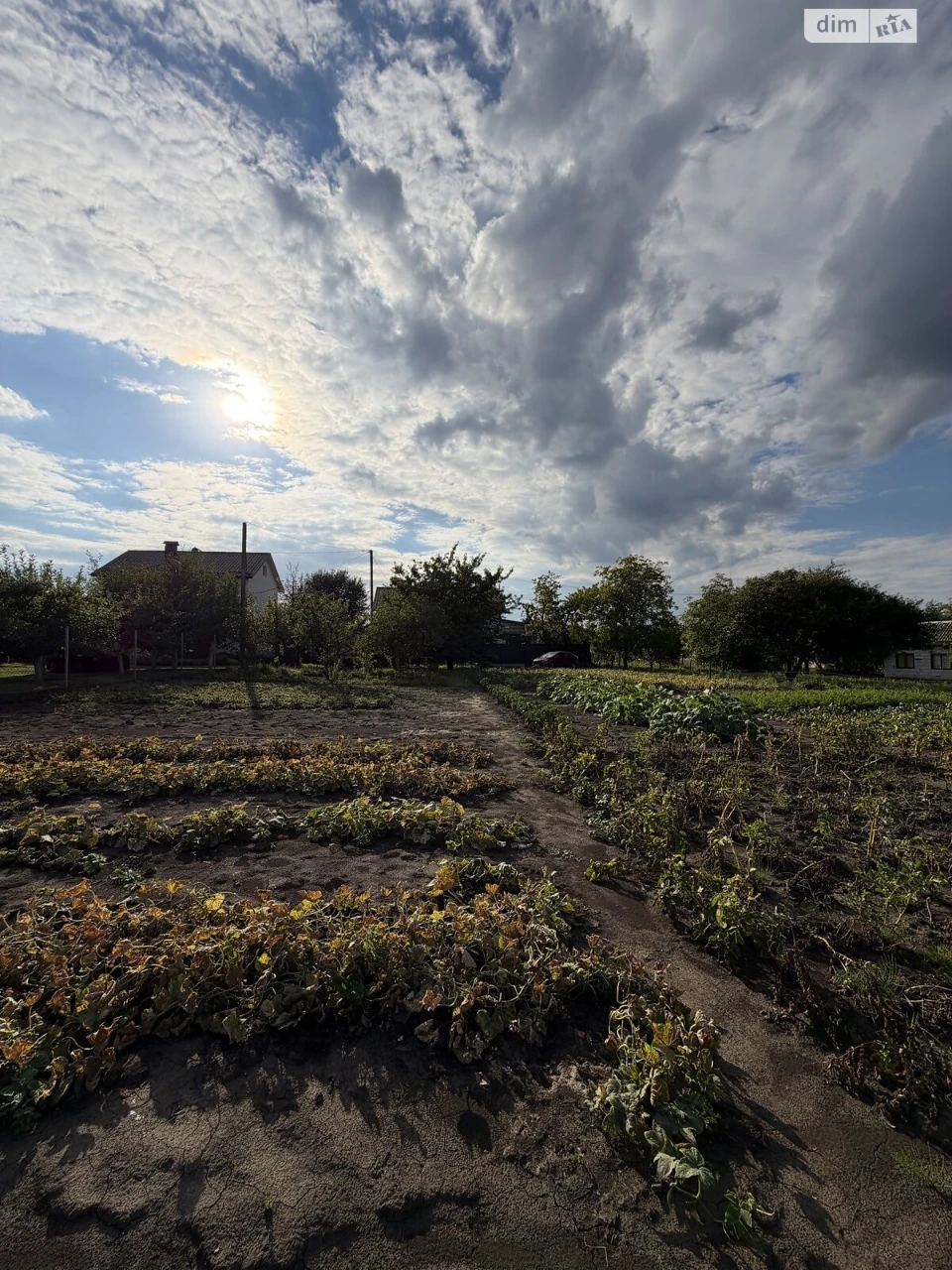 Продаж Ділянка під житлову забудову Південне Дубове