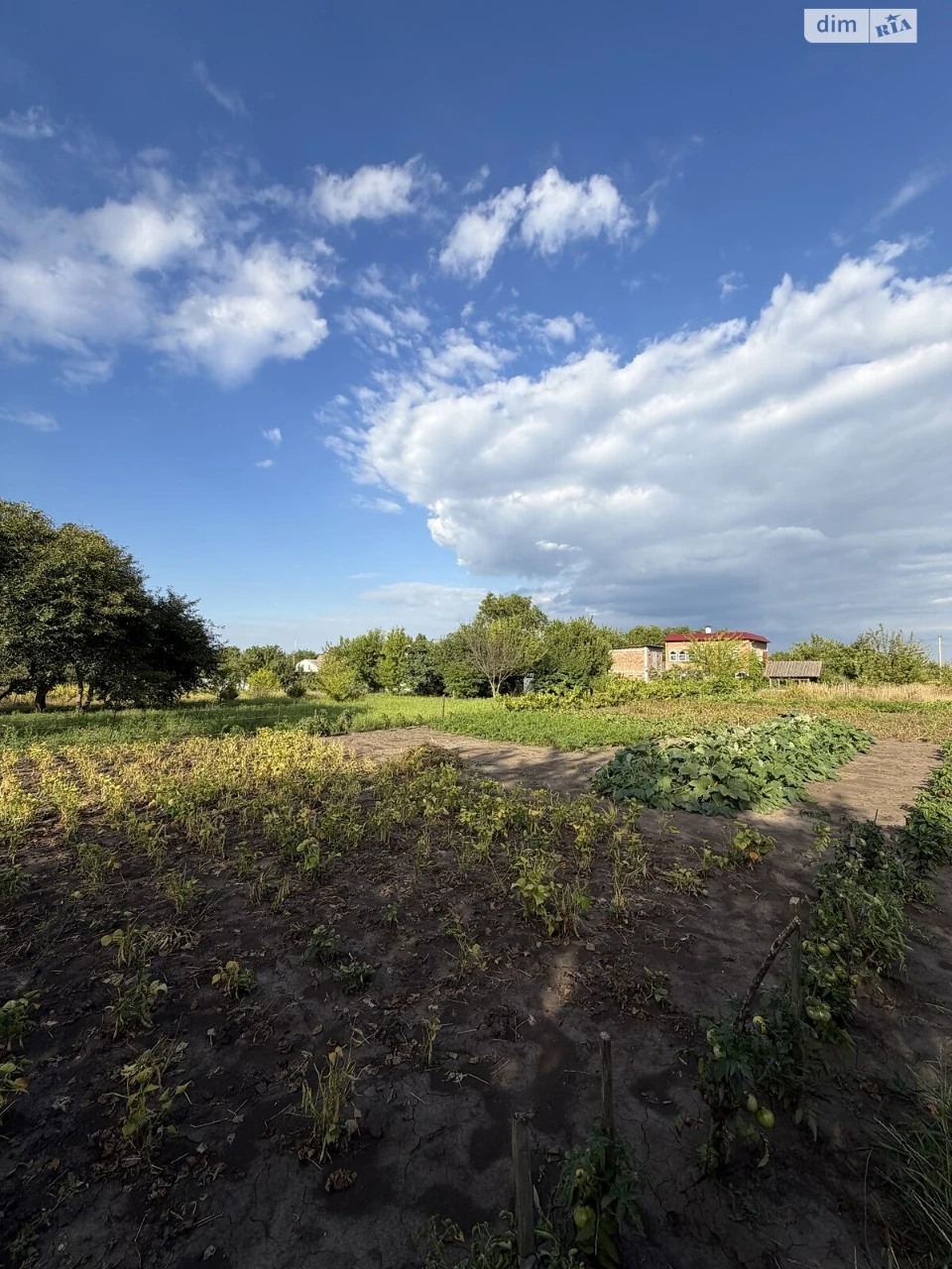 Продаж Ділянка під житлову забудову Південне Дубове