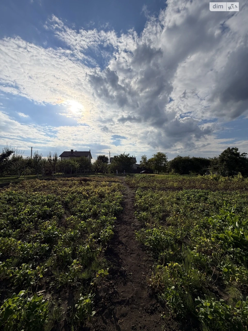 Продаж Ділянка під житлову забудову Південне Дубове