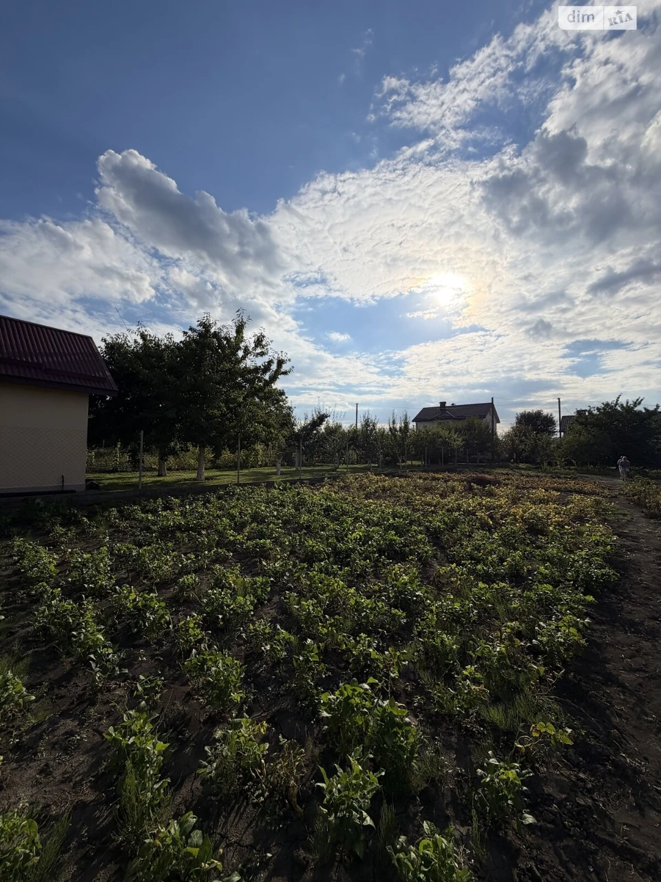 Продаж Ділянка під житлову забудову Південне Дубове