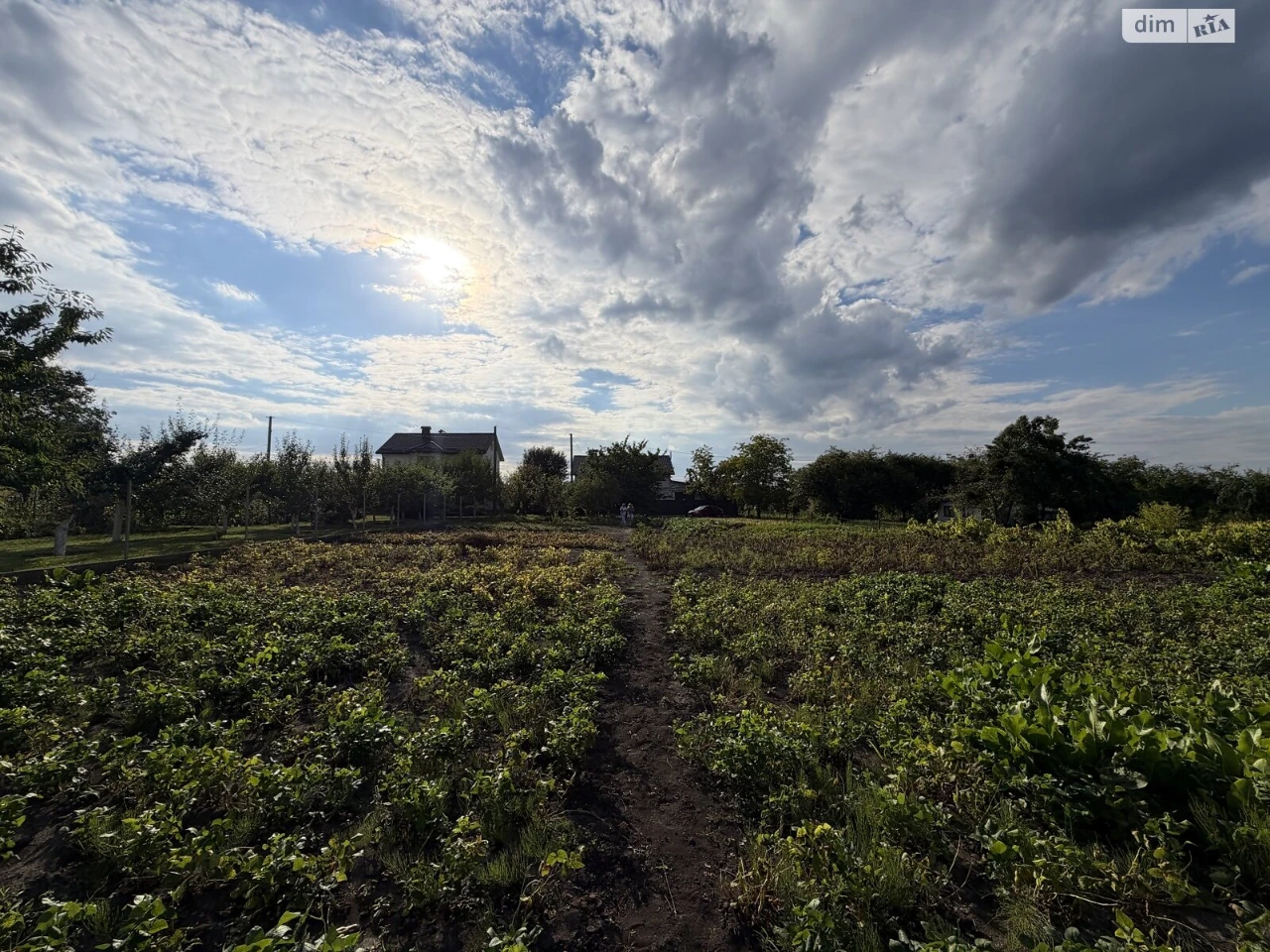 Продаж Ділянка під житлову забудову Південне Дубове