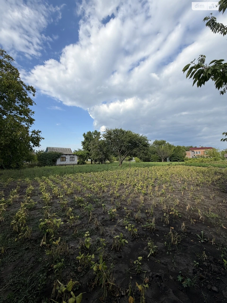 Продаж Ділянка під житлову забудову Південне Дубове