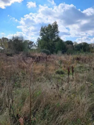 ділянка на Озерній