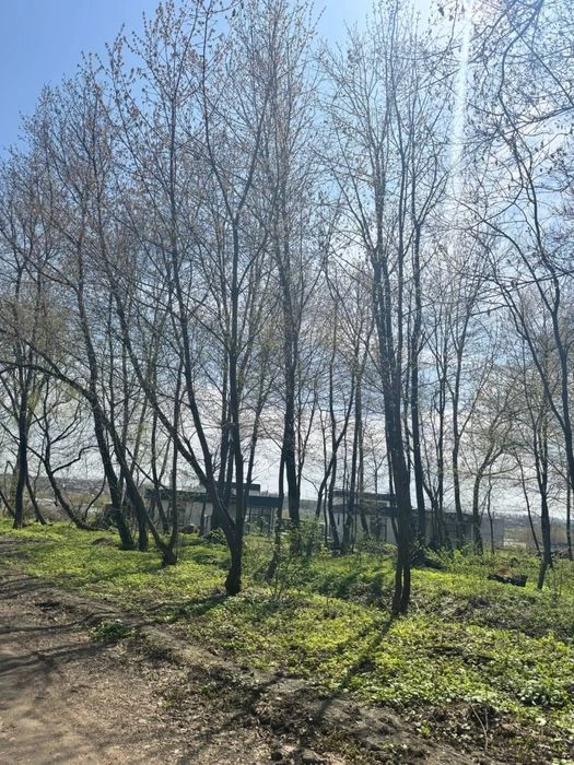 12 сотих під лісом, поруч вулиці Затишна!
