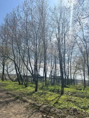 12 сотих під лісом, поруч вулиці Затишна!