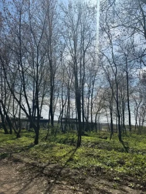 12 сотих під лісом, поруч вулиці Затишна!