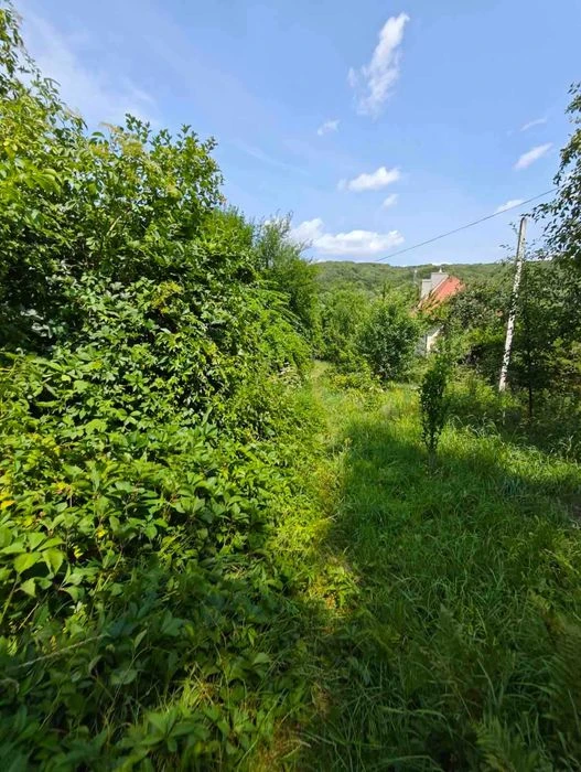 Продається Приваблива Земельна Ділянка по вул.Личаківська (6