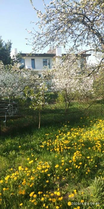 Продається ділянка(район Підрясне- Кожичі)