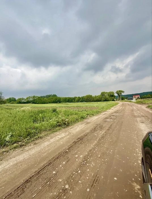 1 гектар землі біля Львова як інвестиційний актив.