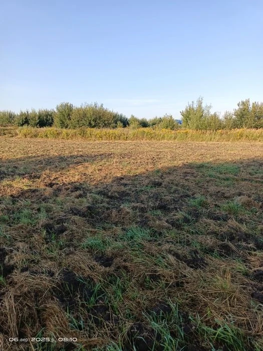 Земельна ділянка