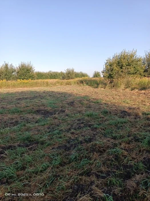 Земельна ділянка