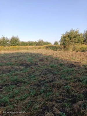 Земельна ділянка