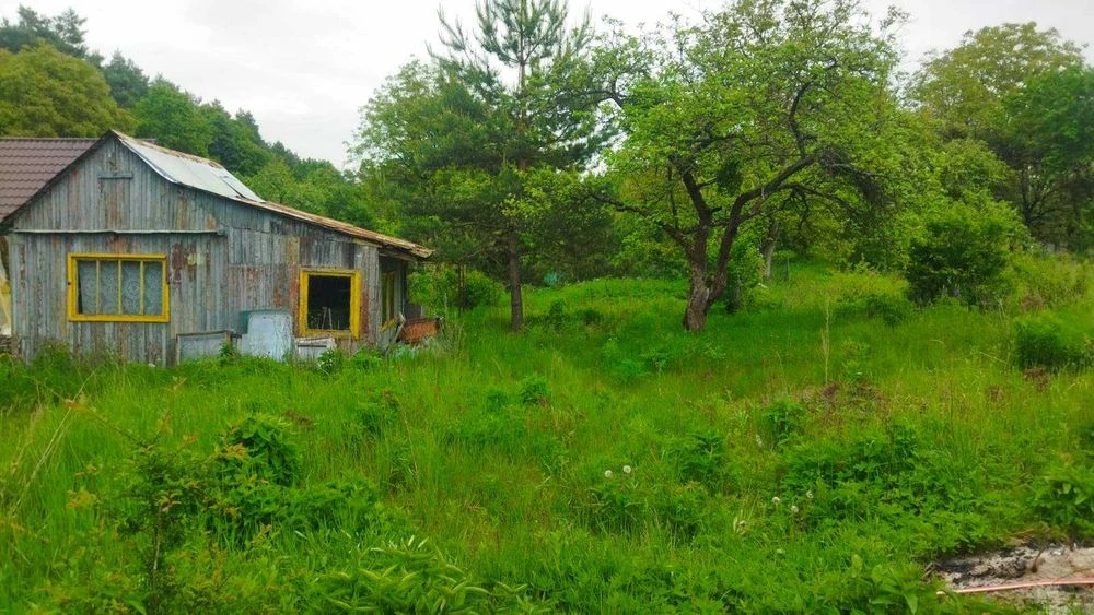 Ділянка біля лісу, Клепарів