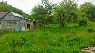 Ділянка біля лісу, Клепарів