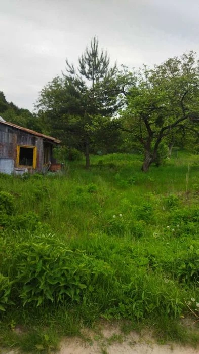 Ділянка біля лісу, Клепарів
