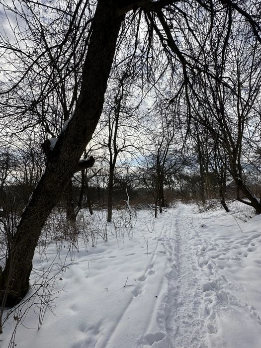 Продаж дачі 4 сот. вул. Шевченка.