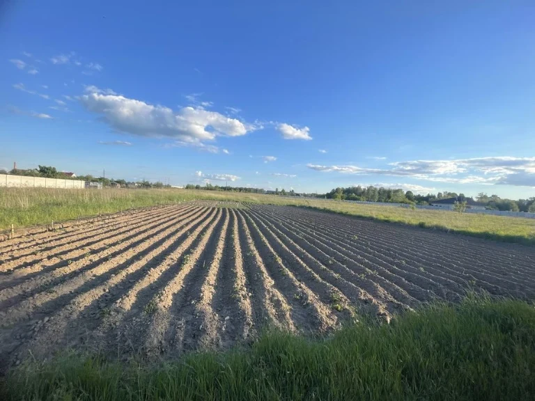 Продам ділянку 28 у СТ «Патріот .Епіцентр