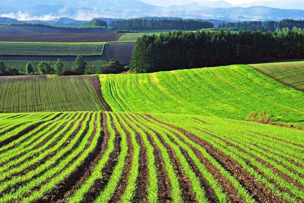 Продам земельну ділянку  2 га під Черніговом