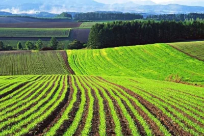 Продам земельну ділянку  2 га під Черніговом