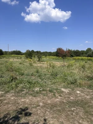 Продаж ділянки під ОСГ, Рясне, Камʼянка, 6 сот 15000$