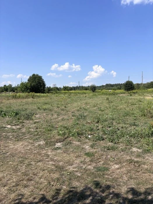 Продаж ділянки під ОСГ, Рясне, Камʼянка, 6 сот 15000$