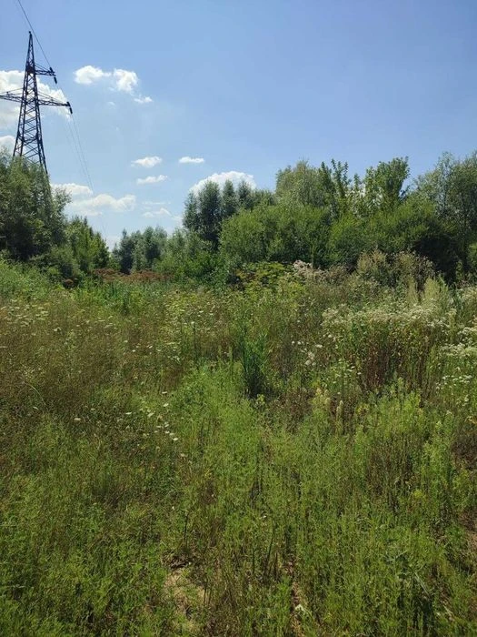 Продаж ділянки біля Царського озера SL