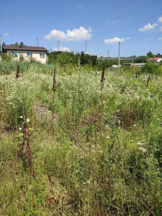 Продаж ділянки біля Царського озера SL