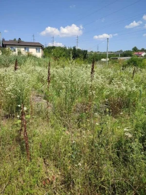Продаж ділянки біля Царського озера SL