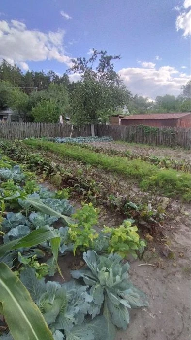 Продаж дачної ділянки з власним виходом до озера