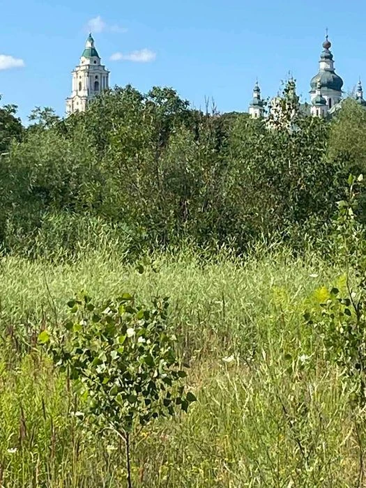 ЦІНА ЗНИЖЕНА! Продам земельний участок під забудову Земснаря
