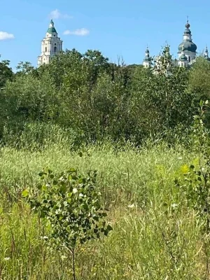 ЦІНА ЗНИЖЕНА! Продам земельний участок під забудову Земснаря