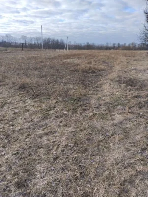 Продам ділянку землі (10соток)