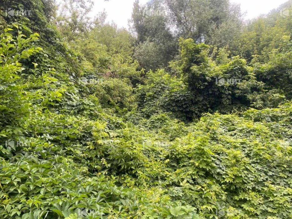 Ділянка 7,7 сотки, р-н Французського Бульвару, 136470