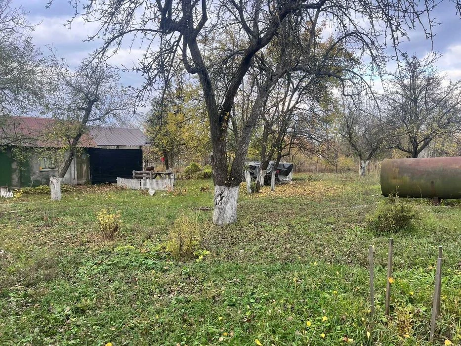 Земельна ділянка