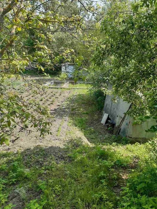 Ділянка 9 соток у садовому товаристві "Якір", приватизована