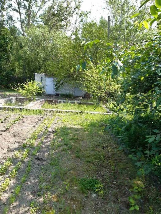 Ділянка 9 соток у садовому товаристві "Якір", приватизована