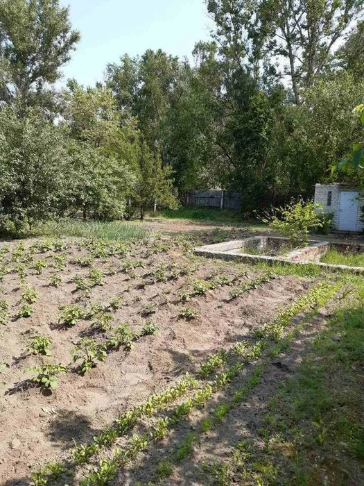 Ділянка 9 соток у садовому товаристві "Якір", приватизована