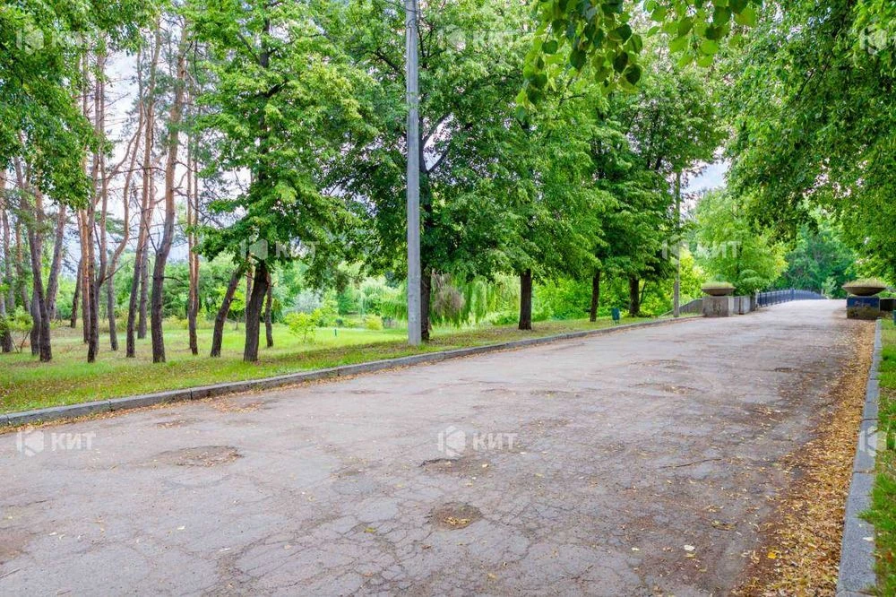 24 сот. , Київська (Гидропарк, м. Киевская, ул. Шевченко, 12