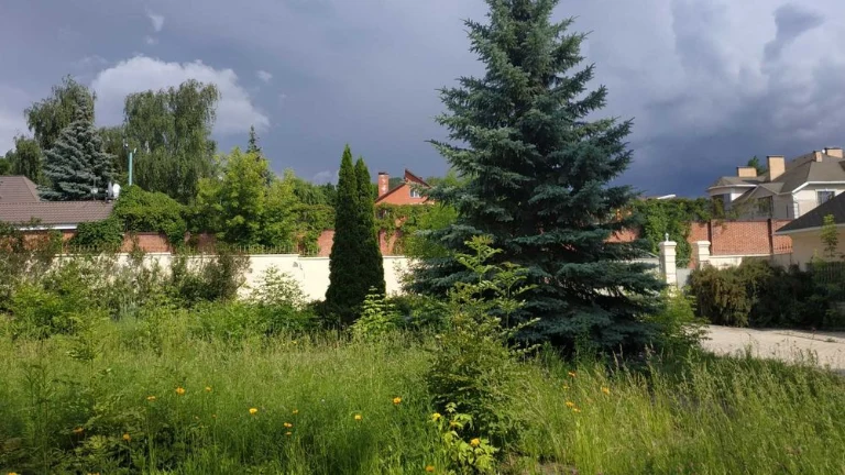 Земельна ділянка 30 соток, Сокільники