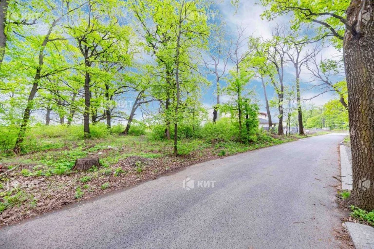Лісопарк (Лесопарк), КМ Форест (Парк Хаус , Роял Клаб) 12434