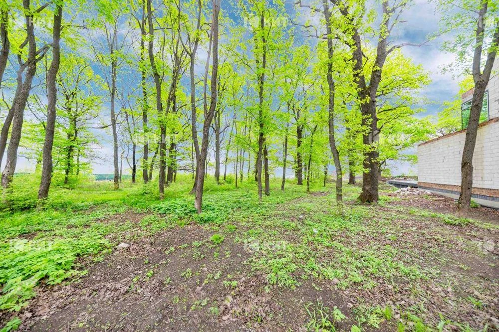 Лісопарк (Лесопарк), КМ Форест (Парк Хаус , Роял Клаб) 12188