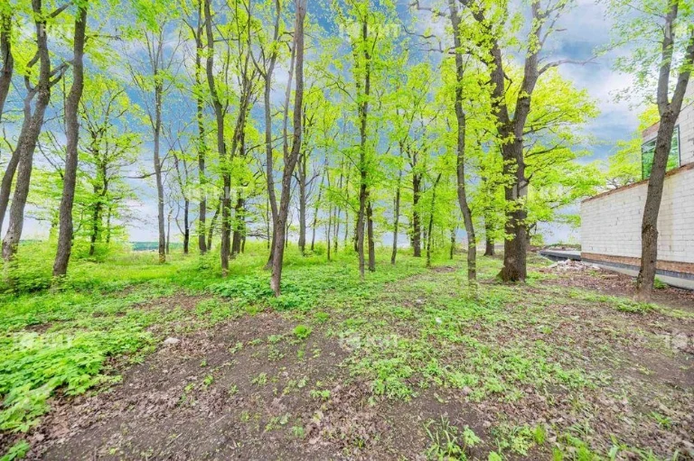 Лісопарк (Лесопарк), КМ Форест (Парк Хаус , Роял Клаб) 12188