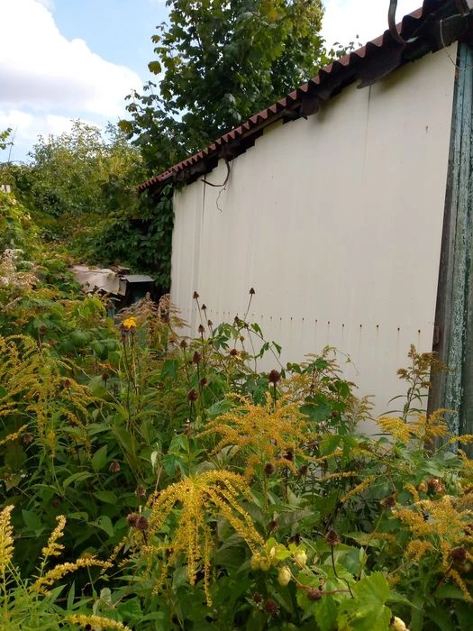 Продам дачний участок. Харків.
