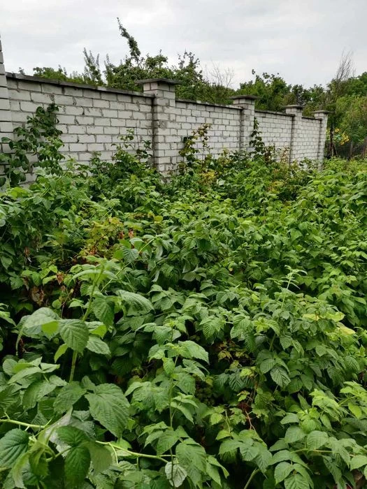Gk Продам участок на Новых домах