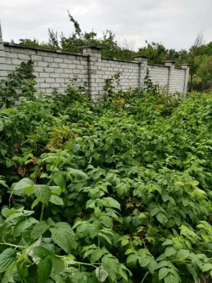 Gk Продам участок на Новых домах