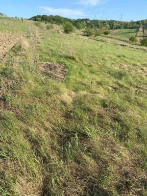 Продам землю в Колоденці під забудову будинку площею 0.06 га