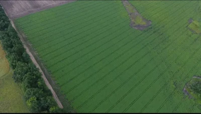 Продаж ділянки комерційного призначення 10 га