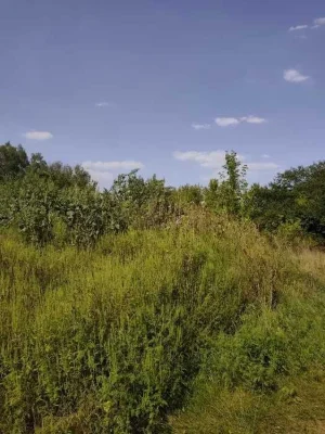 D1C Продам участок Большая Даниловка